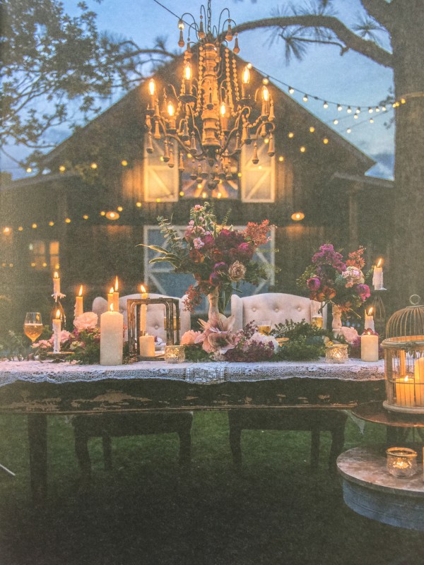 バーン&フォレスト